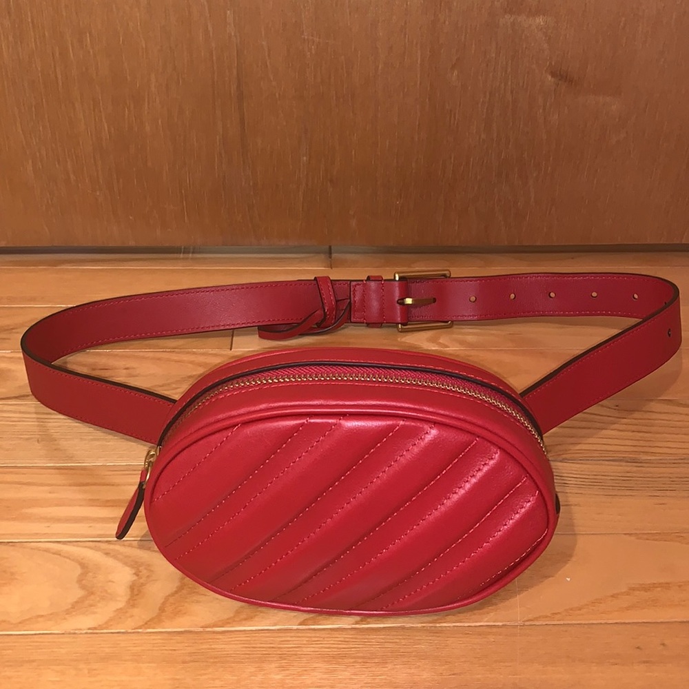 Aritzia Auxiliary Belt Bag